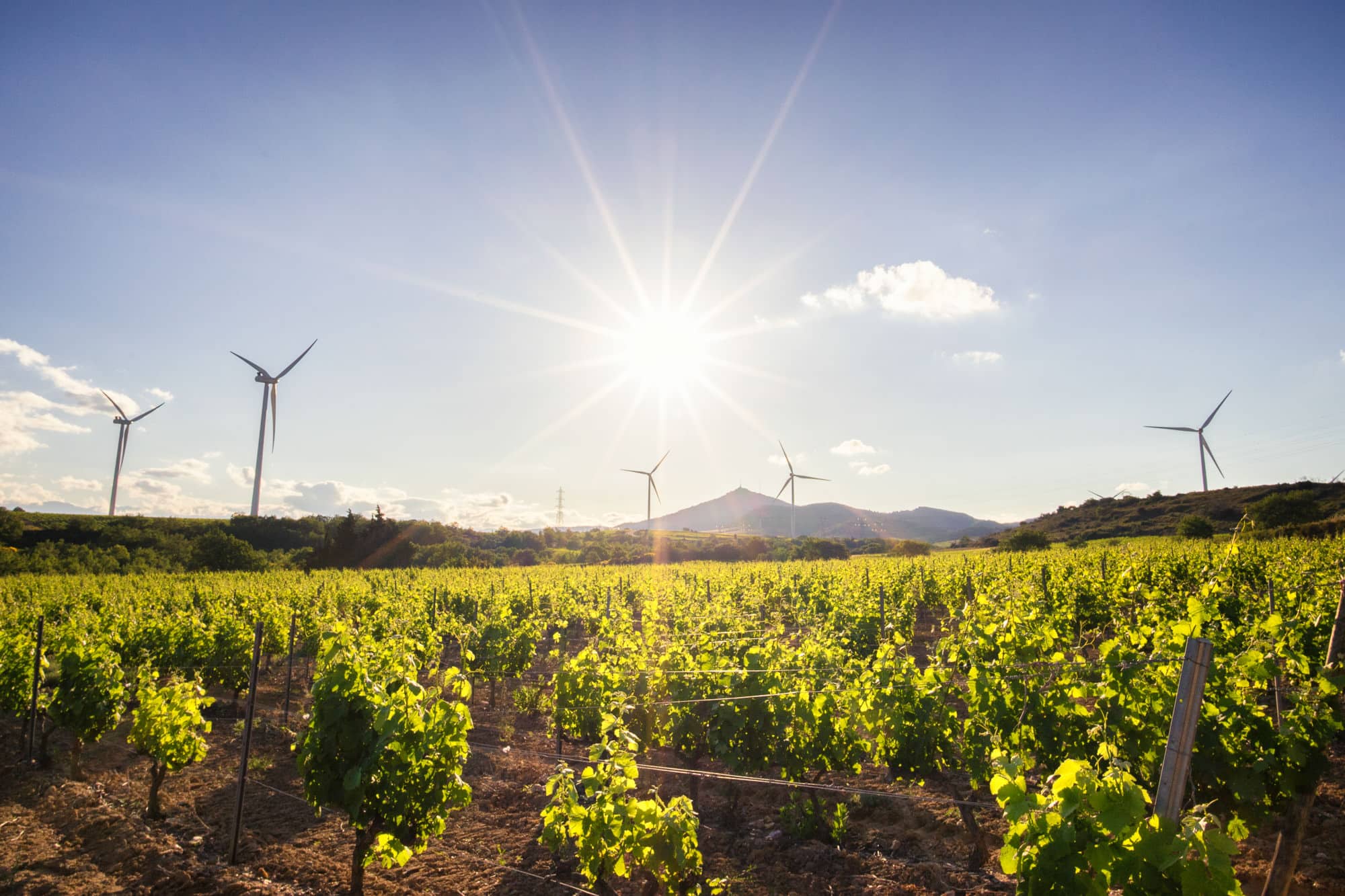 Perpignan Méditerranée Métropole Mairie Villeneuve de la Rivière (66610)